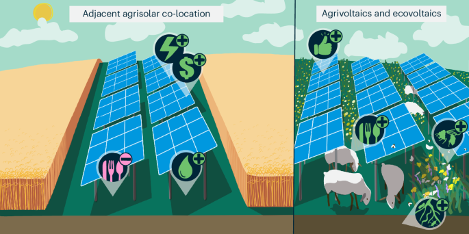 Biogas and renewable energy infrastructure project execution by Omega Group